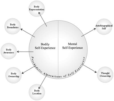 Psychedelic-induced mystical experiences: An interdisciplinary discussion and critique